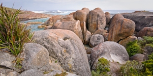 Elephant Rocks in William Bay National Park
