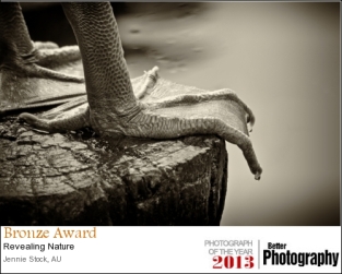 This image of a pelican's foot also did well in the WAPF interclub comp, coming 4th in Mono prints.
