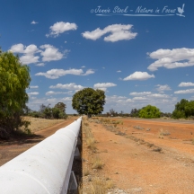 The Goldfields water pipeline on the Great Eastern Highway - the lifesaving water enabled Kalgoorlie and the Goldfields to develop.
