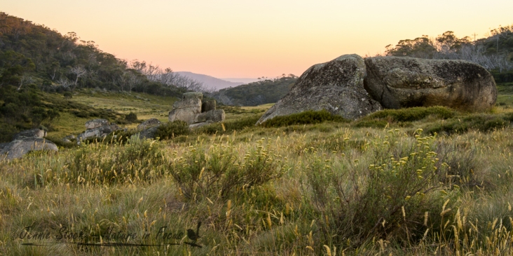 Rennix Trail sunrise in Kosciuszko National Park, New South Wales