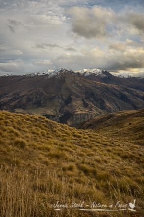 The view from Crown Range Road near Arrowtown and Queenstown on South Island, New Zealand